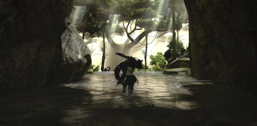 Rushing into Battle!